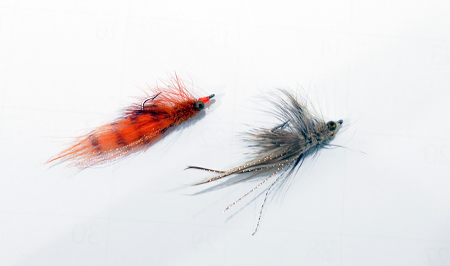 Chico Fernandez share his best everglades flies for redfish, snook and trout in Tail Fly Fishing Magazine.