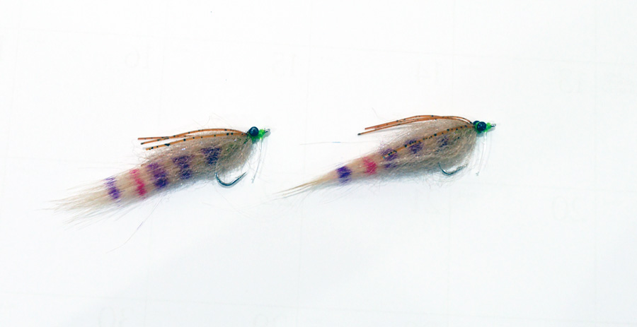 Chico Fernandez share his best everglades flies for redfish, snook and trout in Tail Fly Fishing Magazine.