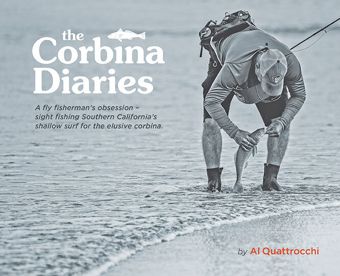 Al Quattrocchi -Saltwater Fly Fishing - Fly Fishing Magazine