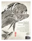 tail fly fishing magazine issue 41