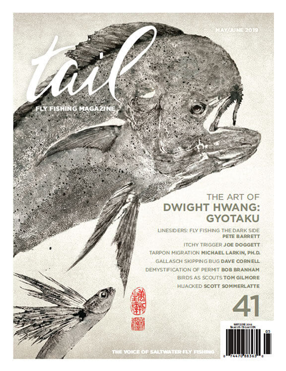 tail fly fishing magazine issue 41