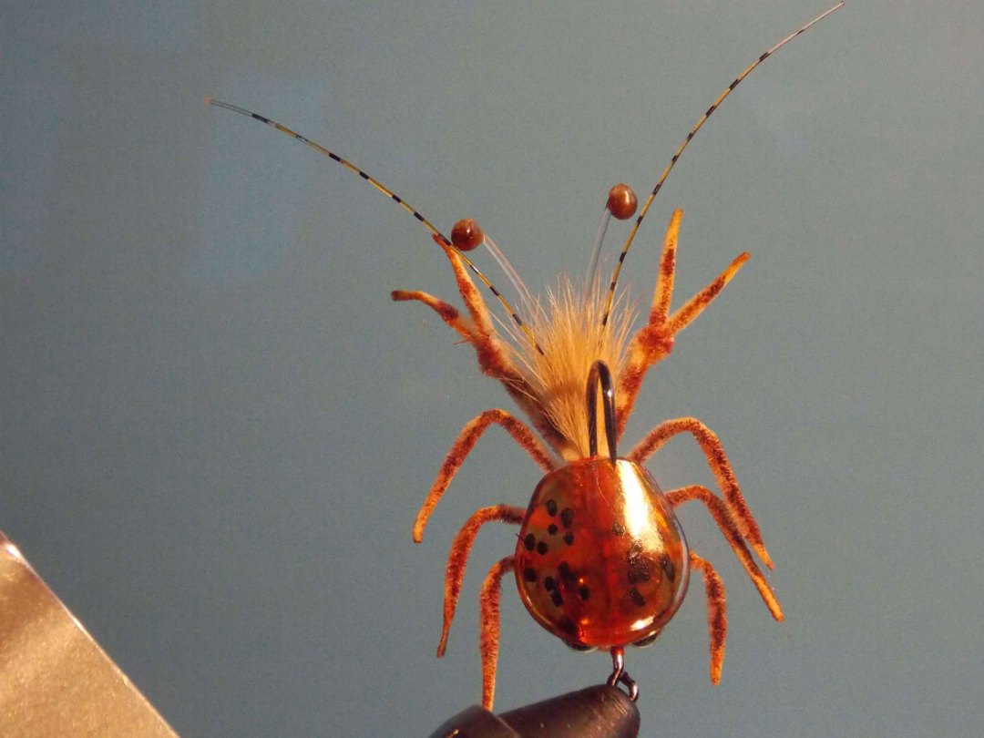 crab fly for permit