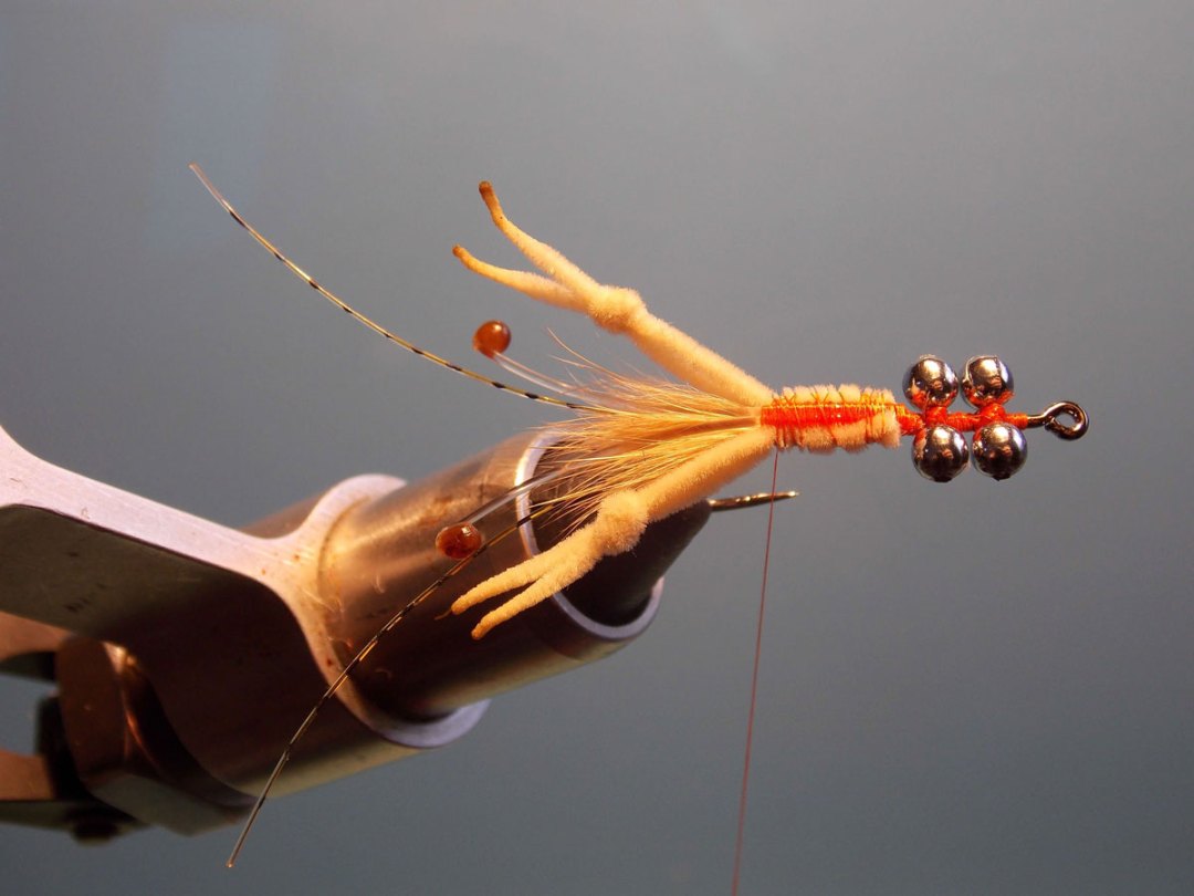 crab fly for permit