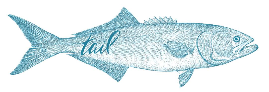 saltwater fly fishing magazine