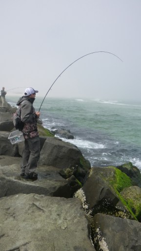 tail fly fishing magazine photo contest - fly fishing magazine