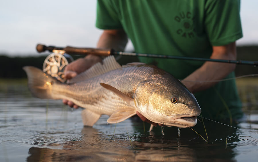 fly fishing magazine