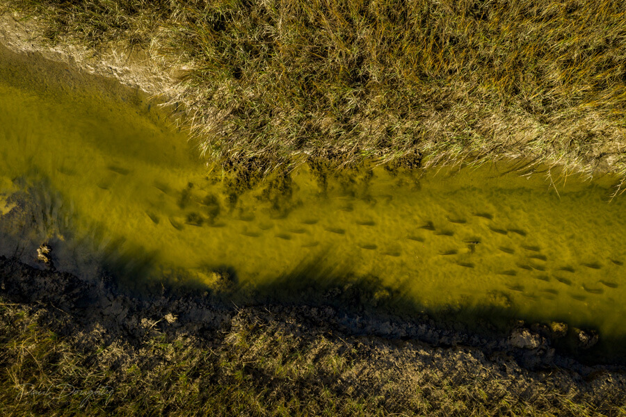 fly fishing magazine