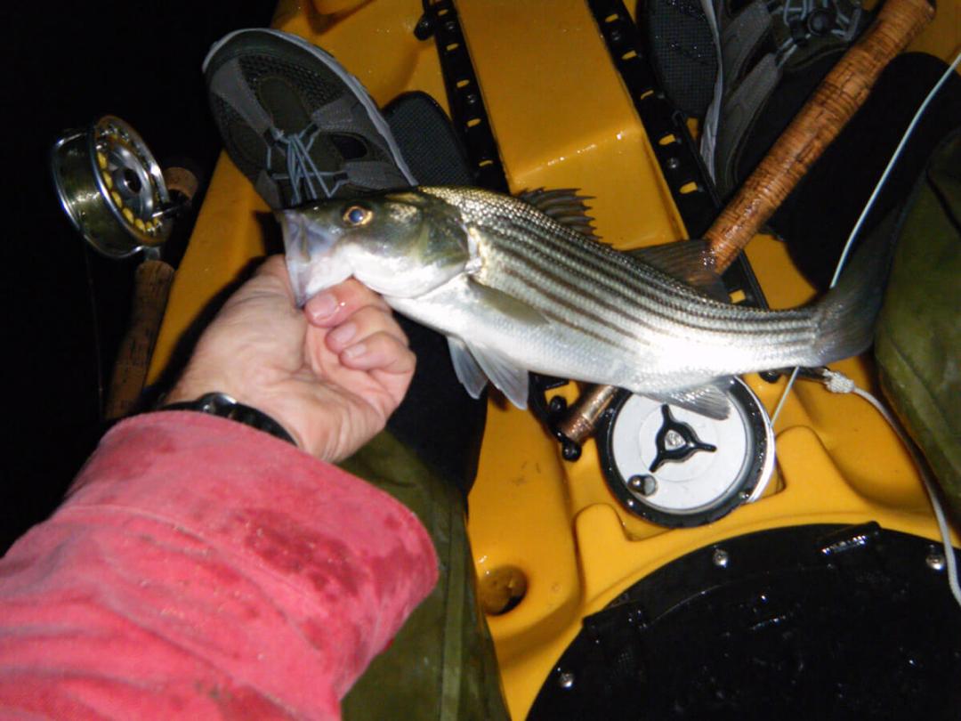 saltwater fly fishing - fly fishing magazine