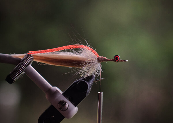 fly tying in tail fly fishing magazine - the voice of saltwater fly fishing - fly tying for saltwater flies