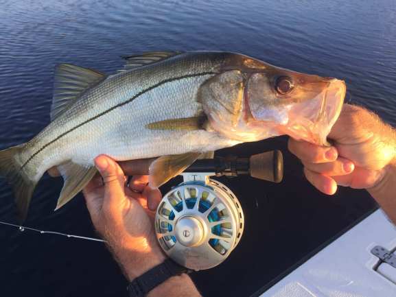 Tail Fly Fishing Magazine - Amazing Autumn Fly Fishing - Pete Barrett - fly fishing historian