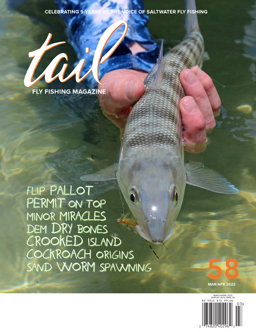 Saltwater fly fishing