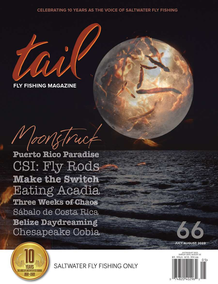 saltwater fly fishing