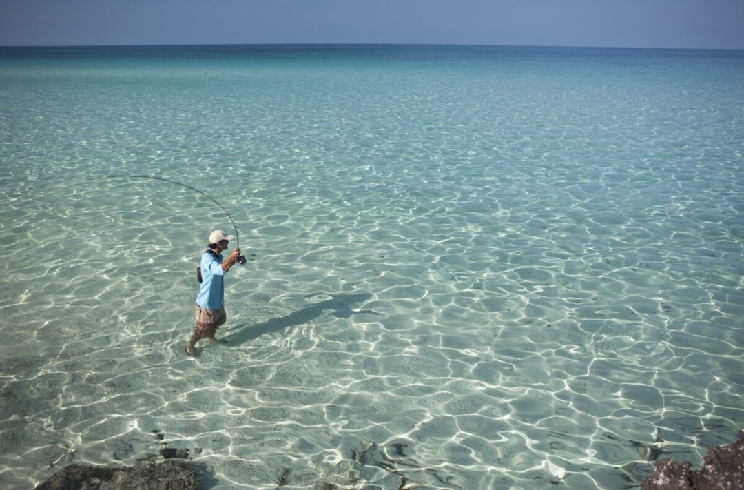 saltwater fly fishing bonefish on the fly