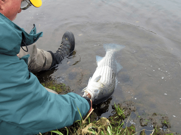 fly fishing magazine - saltwater fly fishing