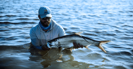 florida keys tarpon - tail fly fishing magazine