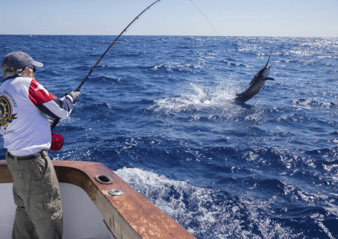 tail fly fishing magazine - fly fishing for blllfish
