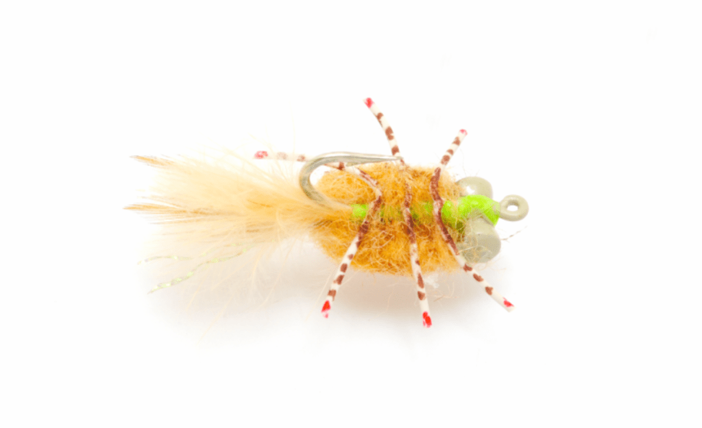 permit on fly