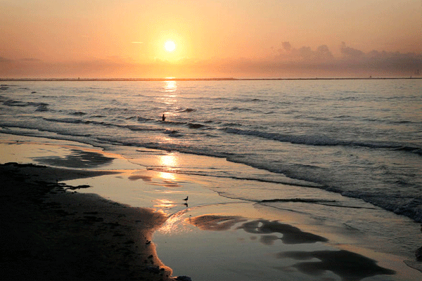 fly fishing texas gulf coast
